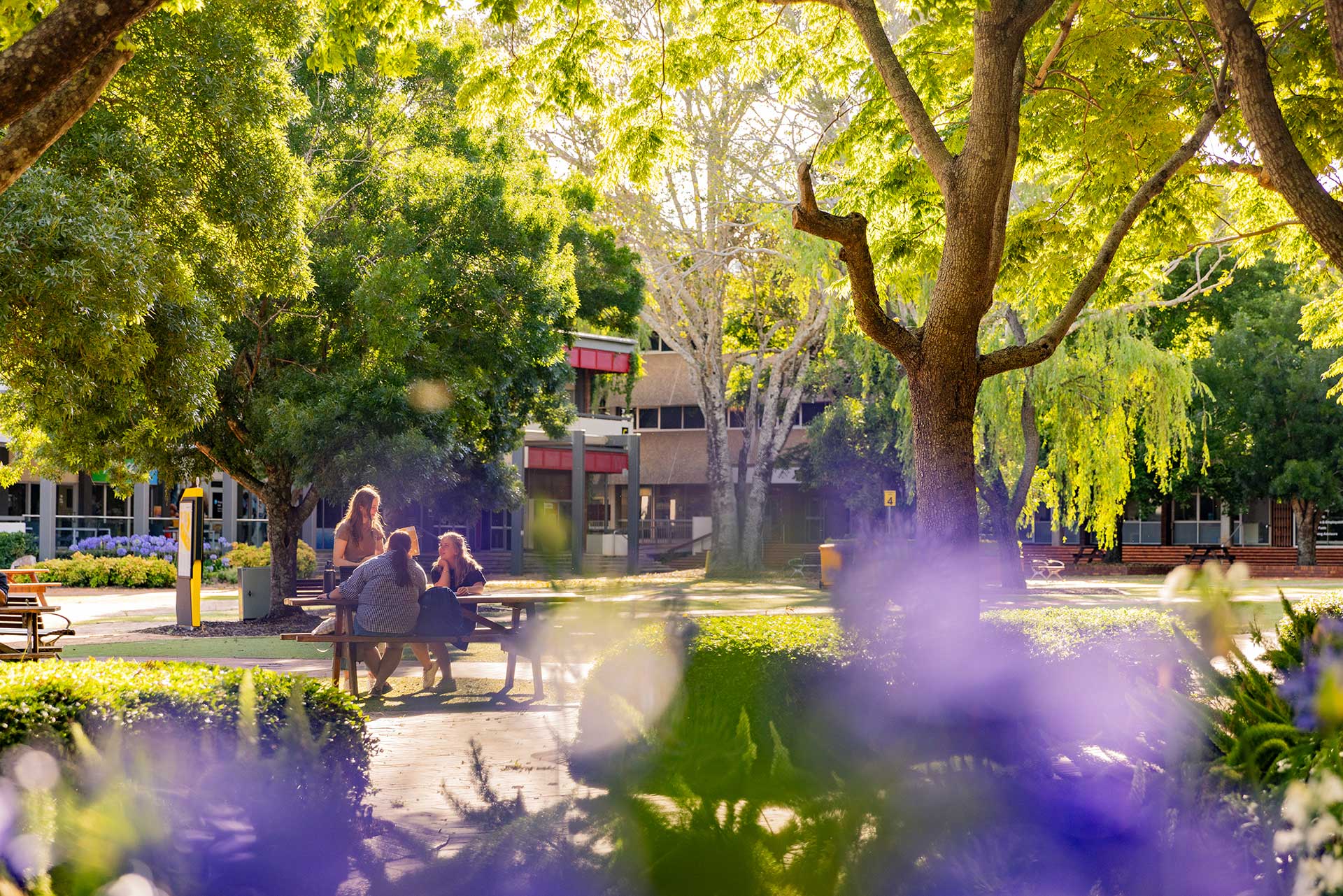 Students sitting at a table outdoors in the quad at the University of Southern Queensland's Toowoomba campus. 