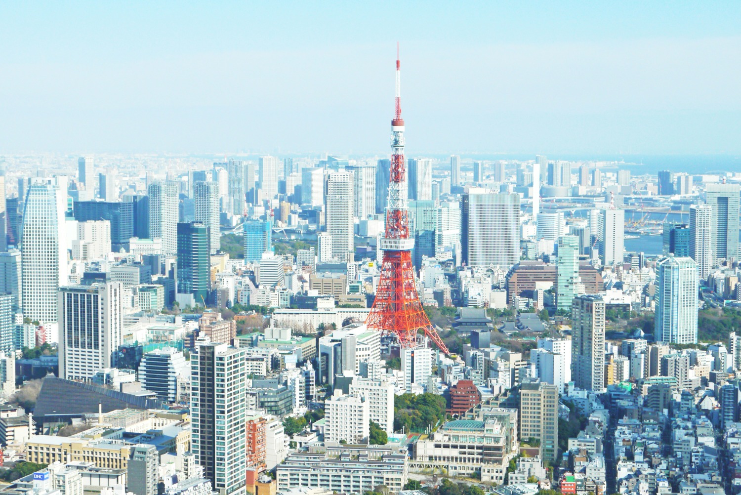 Tokyo city skyline. 